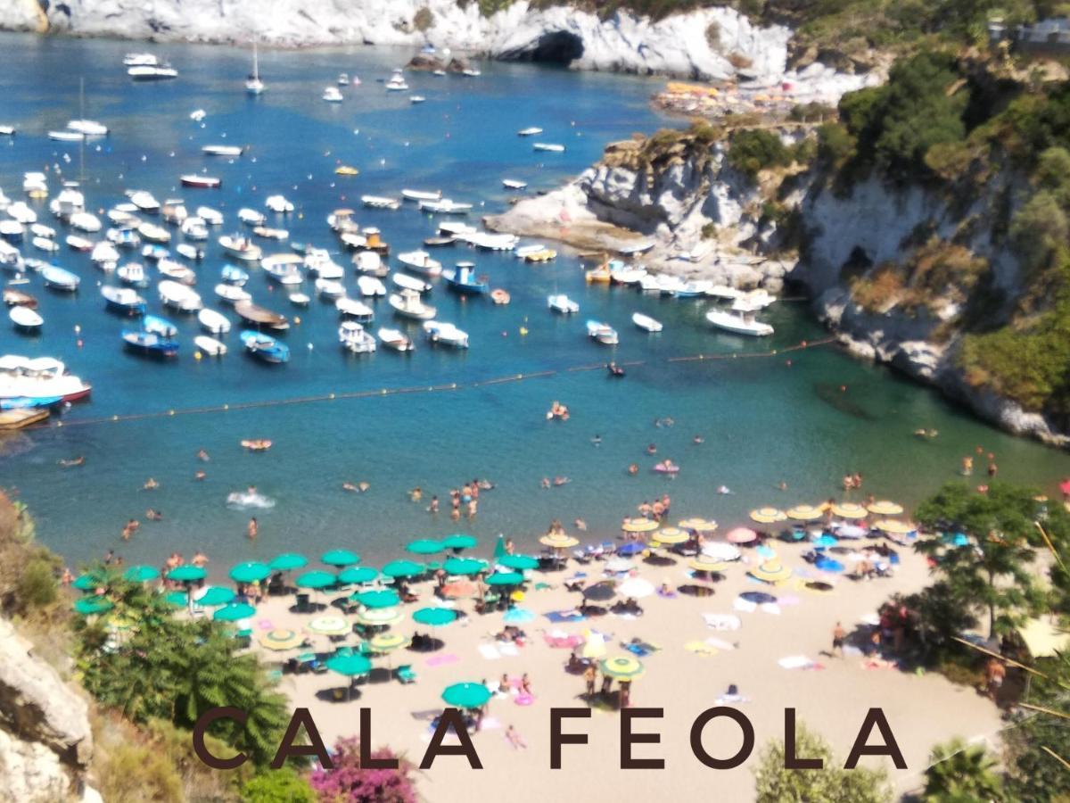Ponzamania Il Pescatore * Ponza