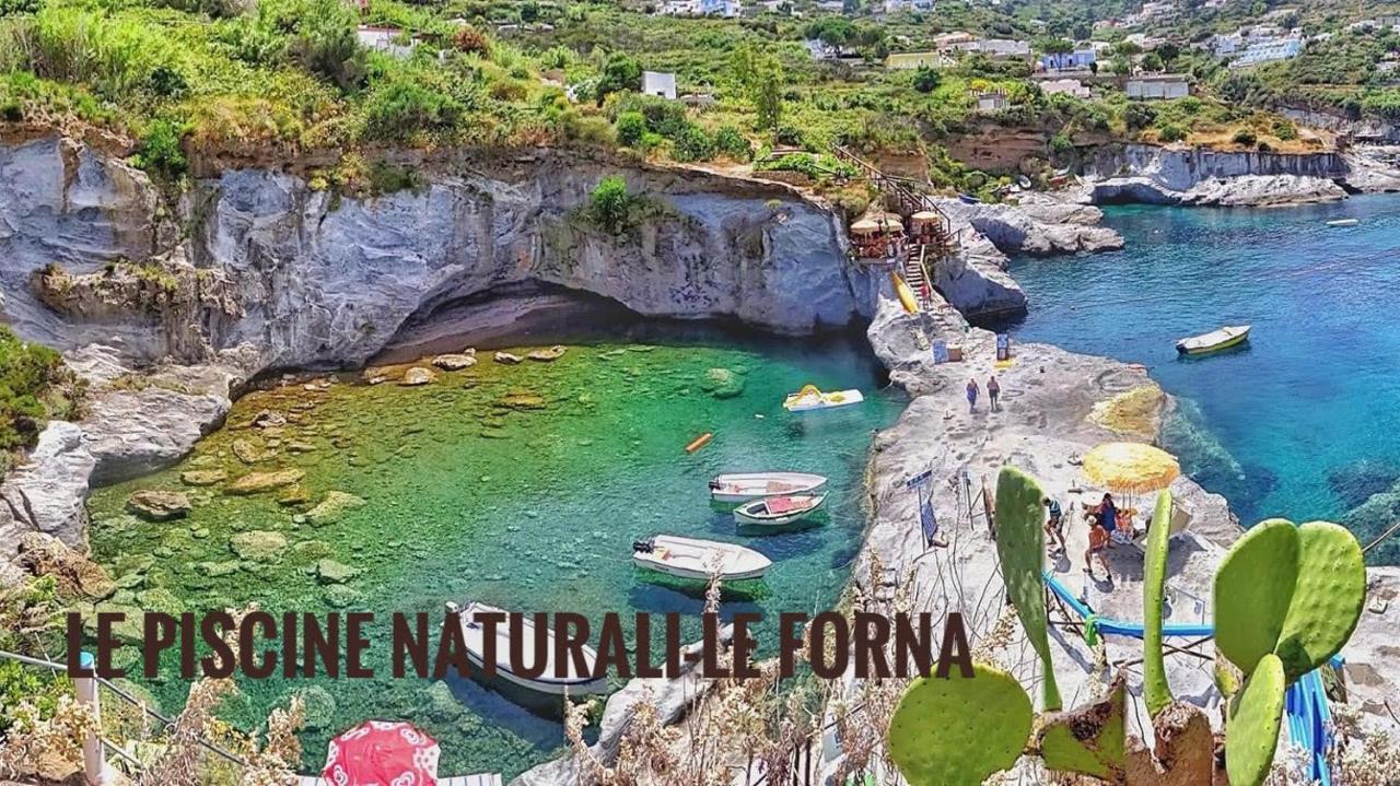 Ponzamania Il Pescatore * Ponza