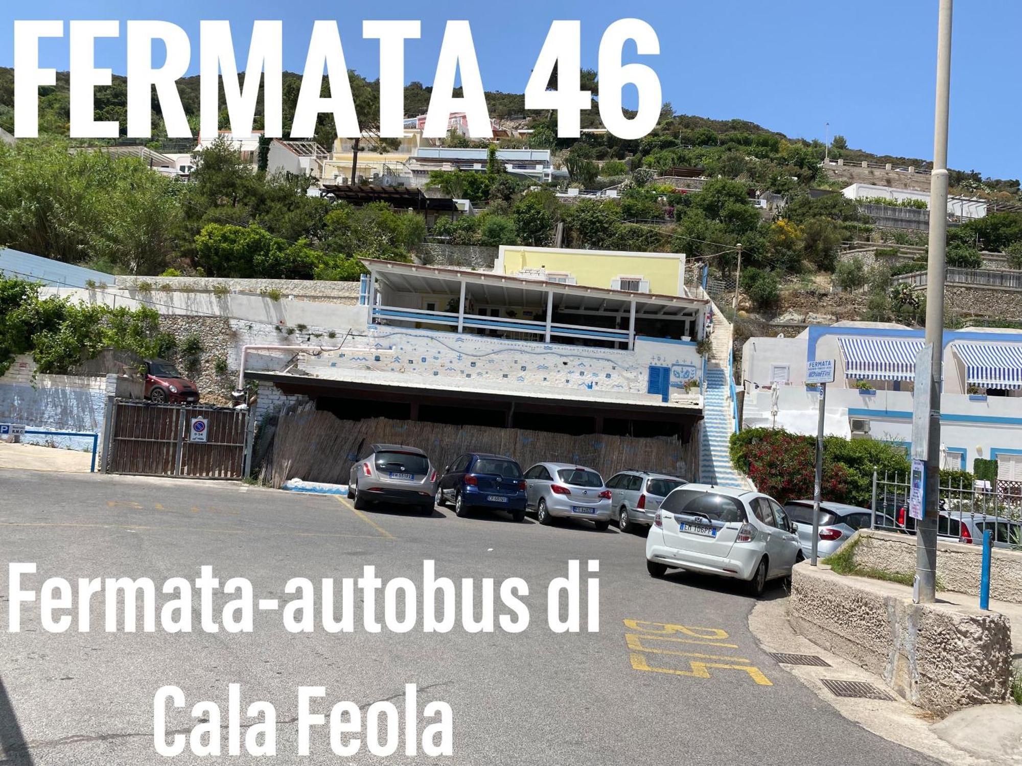 Ponzamania Il Pescatore